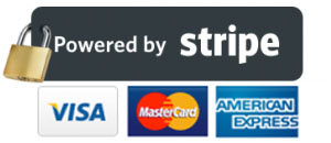 Payments Secured with Stripe